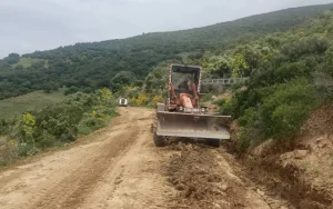 Projet d’aménagement de 30 000 ha de forêt à Bouira : L’avenir des forêts passe par une gestion planifiée et numérisée