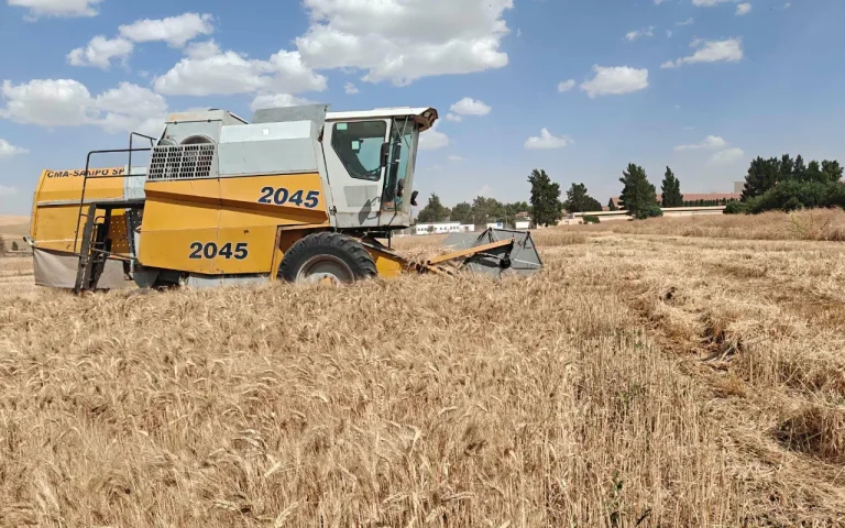 Campagne de moisson-battage 2026 : Vers une récolte record