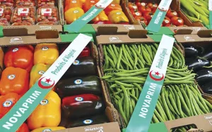 Henan ouvre la porte au « Made in Algeria » : À la conquête du marché chinois