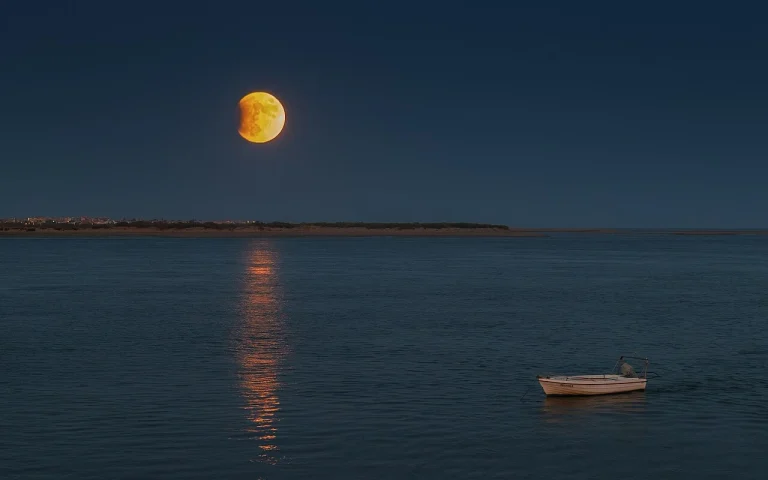 l'éclipse solaire totale qui a traversé le Vieux Continent a rayé d'un trait de plume près de 9,7 gigawatts (GW) de production photovoltaïque.