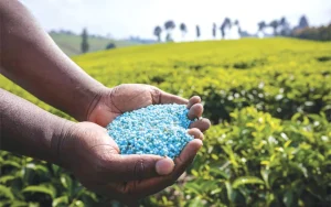 Géopolitique des engrais : L’Inde choisit l’Afrique