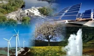 Palmarès mondial de la durabilité : L’Algérie championne de l’environnement en Afrique du Nord