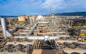 Plasturgie et PME : L’impact stratégique du Polypropylène d'Arzew