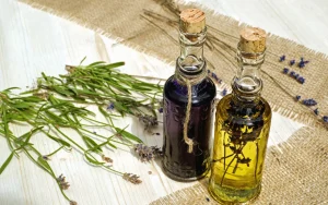 Pour conquérir les marchés internationaux : L’Algérie mise sur ses plantes médicinales