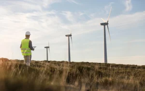 Développement de l’énergie éolienne en Algérie : Confirmer la rentabilité et passer à l’action