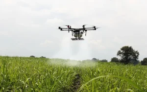 Sécurité alimentaire : L’innovation au cœur de la stratégie agricole