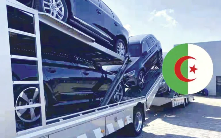 Alignement de véhicules neufs de marques chinoises importés