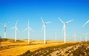 Énergie renouvelable : L’Afrique sous-exploite son éolien