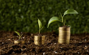 Transition énergétique : Accélération des solutions bas carbone grâce à la finance climatique