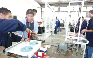Sétif : La formation au cœur de l'industrie